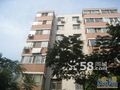 伏牛路南北户型三房急售