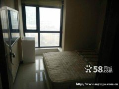 经三路嘉辰时代公寓 1室1厅50平米 精装修 押一付三