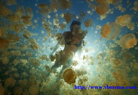 世界上的湖泊有淡水湖、盐水湖